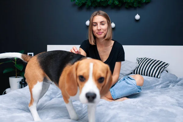 Genç ve güzel bir kadın şık bir yatak odasında köpekle oynuyor. — Stok fotoğraf