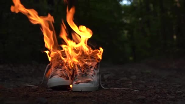 Gebrauchte weiße Turnschuhe brennen auf einer Landstraße, die im Wald verläuft. — Stockvideo