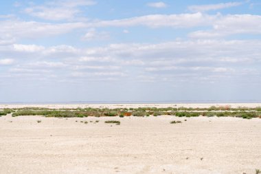 Dry sea endless sand beautiful clouds beautiful landscape estuary
