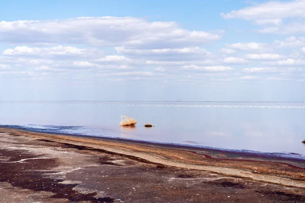 Mer sèche sable sans fin beaux nuages beau paysage estuaire — Photo