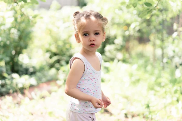 Dvouletá Kavkazská Dívka Shromažďuje Nezralé Třešně Ovocným Sadu Letní Čas — Stock fotografie
