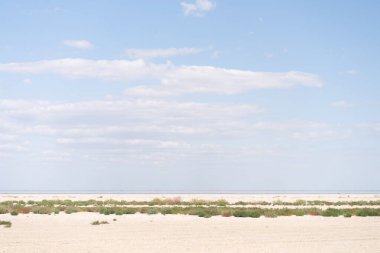 Kuru deniz sonsuz kum güzel bulutlar güzel manzara halkaları. Azove Denizi