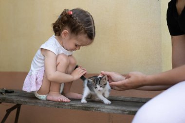 Küçük beyaz kız bir yaz günü küçük bir kedi yavrusuyla oynuyor.. 