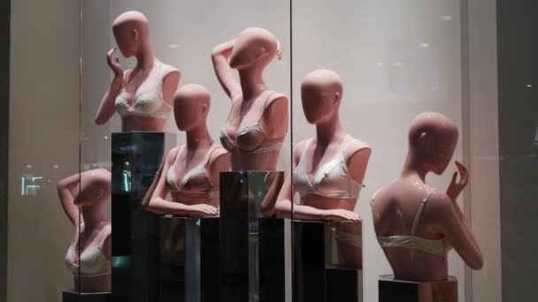 Mannequins fehérnemű ruha stand shop ablak nő melltartó fehérnemű — Stock videók