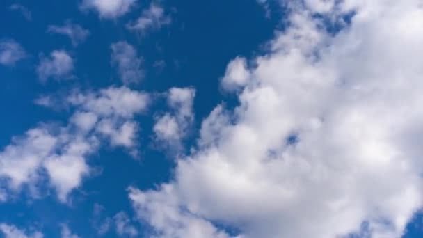 Blauwe wolk hemel tijd verval Gezwollen pluizig witte wolken lucht weer natuur achtergrond 4k — Stockvideo