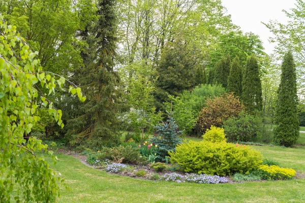 Ogród Ozdobny Wiosną Środkowe Łóżko Kwiatami Krzewami Dwoma Świerkami Thuja — Zdjęcie stockowe