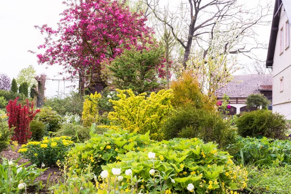 低木や異なる色の木と装飾庭園の春の日 庭の風景の中に光緑 — ストック写真