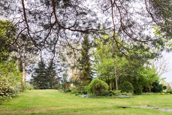 Πολύχρωμο Διακοσμητικό Τοπίο Στον Κήπο Την Άνοιξη Διάφοροι Πράσινοι Τόνοι — Φωτογραφία Αρχείου