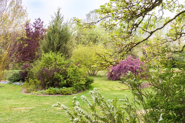 Uma Paisagem Jardim Ornamental Colorido Primavera Uma Variedade Tons Verdes — Fotografia de Stock
