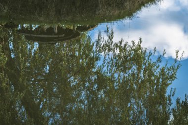 Suda yansıması olan soyut bulanık görüntü, suda mavi gökyüzü, söğüt dalları, kıyıda yuvarlak ahşap masa..