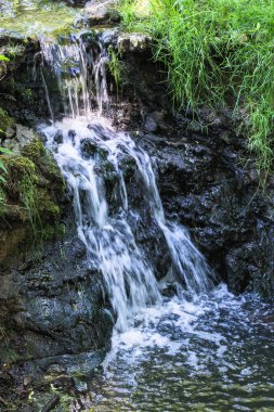 Her iki tarafında açık yeşil çimenler ve yosunlar olan kayalık bir sahilde küçük bir şelale.