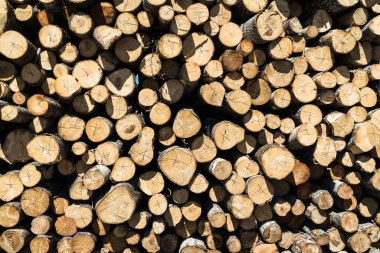 kızılağaç ağaçlı kütükler yığını; yığındaki kütüklerin çeşitli uçlarının görüntüsü; kahverengi loglar