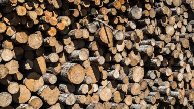 kızılağaç ağaçlı kütükler yığını; yığındaki kütüklerin çeşitli uçlarının görüntüsü; kahverengi loglar