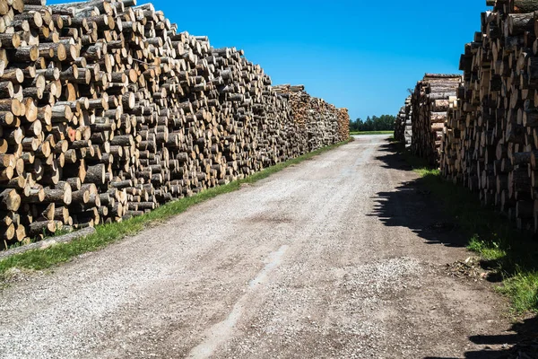 Kaynak ağaçlı kütük yığını; çakıl yolunun her iki tarafında da paket blokları;