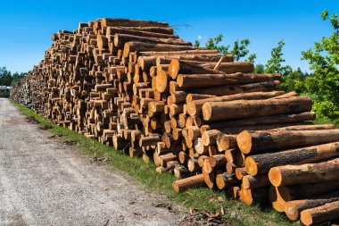 Kaynak ağaçlı kütük yığını; çakıl yolunun her iki tarafında da paket blokları;