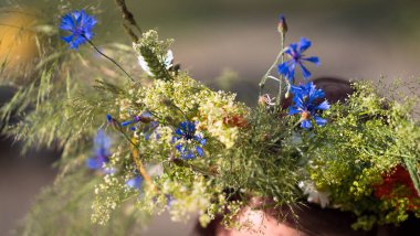 Tarla çiçeklerinin, otların ve tahılların yaz gündönümü çelengi; taç dokuma süreci ve kafaya uyma