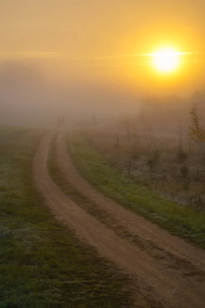 Lever Soleil Route Campagne Dans Brume Gel Dans Herbe Soleil — Photo