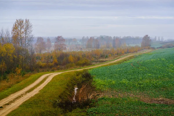 gravel road in a rural area with forest on one side and rape field on the other. Hunting areas.