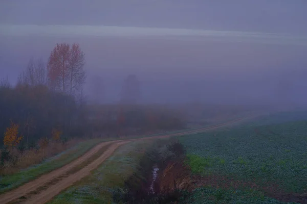 Foggy Autumn Morning Country Road Forest Edge Rape Field — Stok fotoğraf