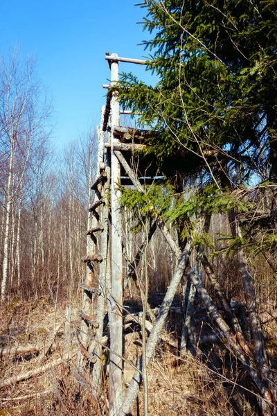 hunting tower vertical stairs, forest edge at the clearing, focus on the steps