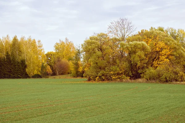 Een Uitzicht Een Groen Veld Verschillende Bomen Met Herfst Gekleurde — Stockfoto