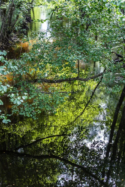 Reflejo Agua Misteriosa Vista Del Río Juegos Luz Sombra Enfoque — Foto de Stock