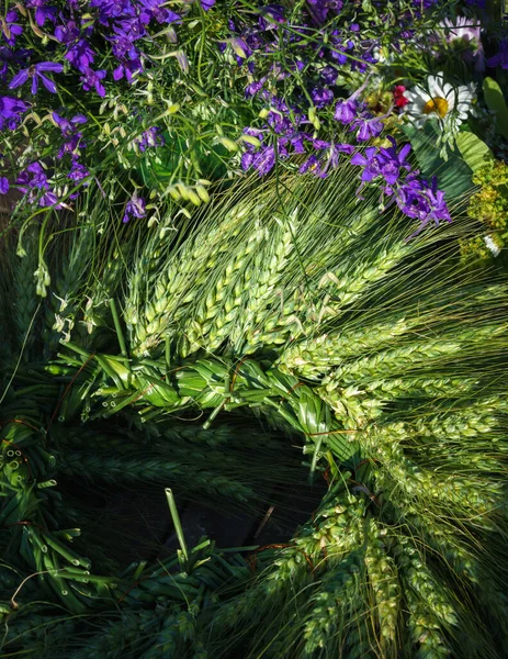 夏の冬至の女の子のための大麦の耳の花輪 — ストック写真