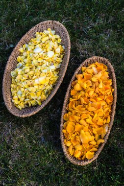 Çimenlikte, iki örülmüş oval kase dolusu koyu sarı ve açık sarı gül yaprakları mandala düzeni için.