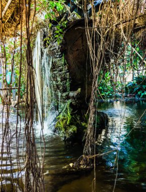 Küçük bir su kütlesindeki dikey bir adadan gelen şelalenin keskinliği sadece bazı yerlerde vardır.