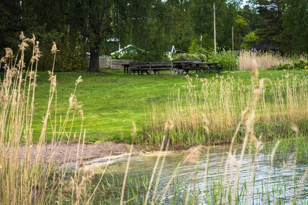 갈대에 속에서 수영하는 장소를 수있고 잔디밭 나무로 탁자와 장소를 수있다 — 스톡 사진