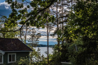 İsveç 'te denize bakan ağaçların arasından ve mavi gökyüzünden. Gün boyunca doğal manzara.