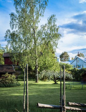 Büyük huş ağacı ve altında çiçek açan elma ağacı, önünde kesilmiş çimenler, bulutlu mavi gökyüzü.