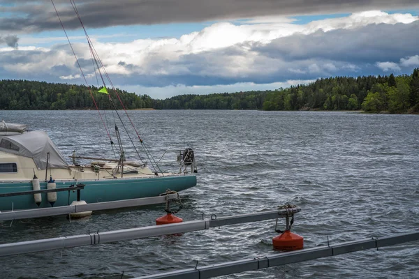 boat mooring bars in the water on red buoys, summer day, forest on the opposite shore