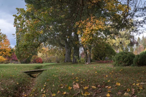 Gazon Een Siertuin Een Sloot Met Een Houten Voetgangersbrug Lindebomen — Stockfoto