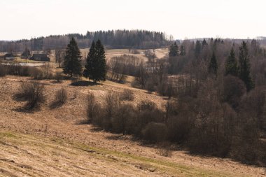 Tek tek ağaçlar, ağaç kümeleri, çalılar...