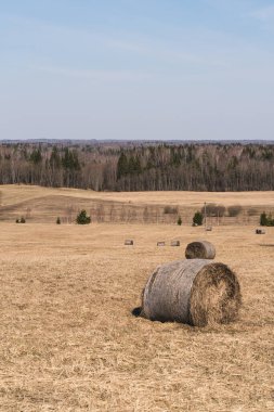Kırsaldaki çayırlarda saman yuvarlanıyor ve uzaktaki orman manzarası, yapraksız ağaçlar.