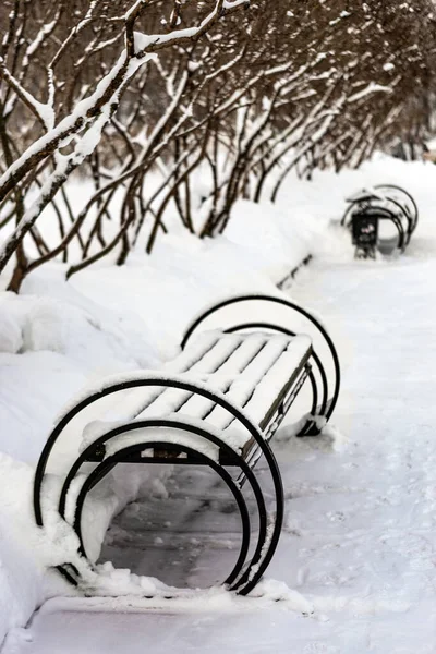 Bancs enneigés dans le parc d'hiver — Photo