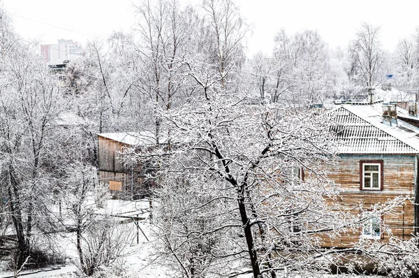 Snötäckta träd — Stockfoto