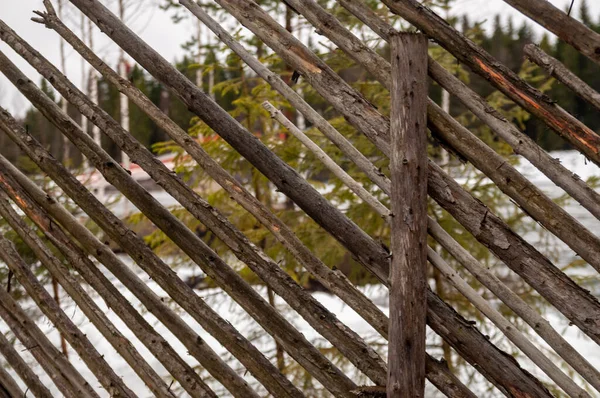 Ogrodzenie Biegunów Tle Zimowego Krajobrazu Leśnego — Zdjęcie stockowe