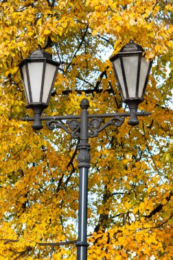Güz arka planında güzel bir retro-stil fener var. Sarı sonbahar yeşilliği ve siyah fener