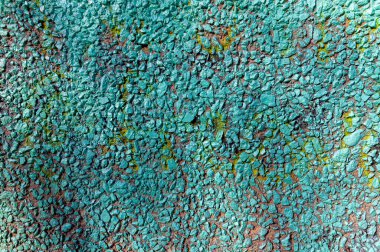 Soyut bir arkaplan ve turkuaz boyayla boyanmış bir duvar. Duvarda yosun yetişiyor.