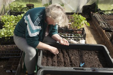 Bahçe arazisindeki kız fideleri ekiyor