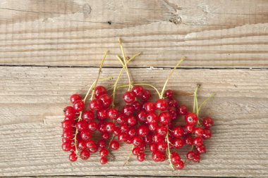 Büyük üzümlü üzümlü üzümlü, arka planda kırmızı bir dal var. 