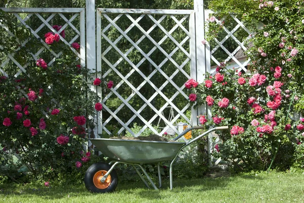 Bahçe arabası, beyaz pergola ve kırmızı güller.