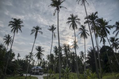 Çifte katlı terkedilmiş kulübe.