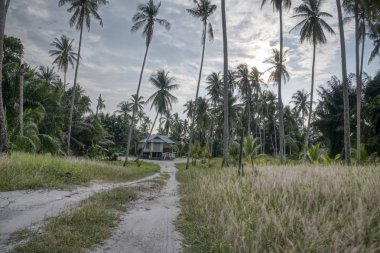 Çifte katlı terkedilmiş kulübe.