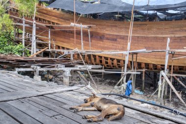 Asyalı tekne şantiyesinin çevresi