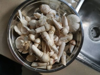 Bir tabak taze yıkanmamış termit mantarı.