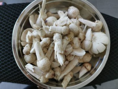 Bir tabak taze yıkanmamış termit mantarı.