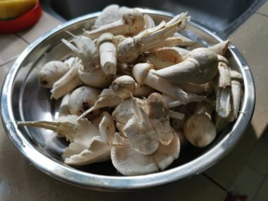 Bir tabak taze yıkanmamış termit mantarı.